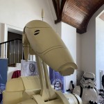 IMG_7513